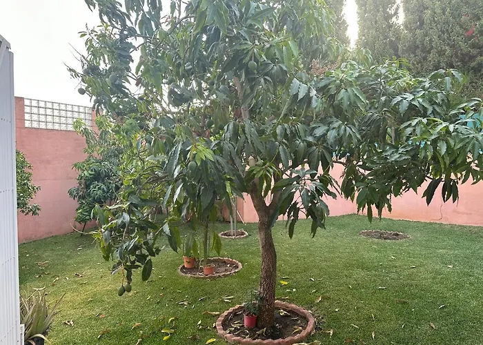 El Rosal